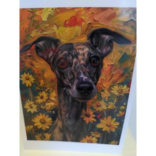 Bright sighthound card