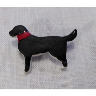 Chocolate colour labrador brooch