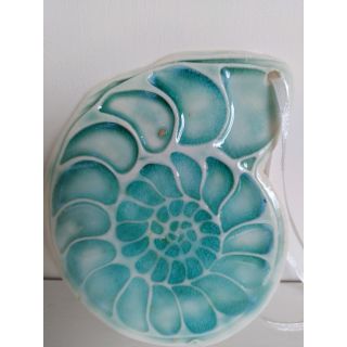 Ammonite decoration
