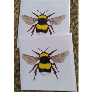 Two bumblebee cards