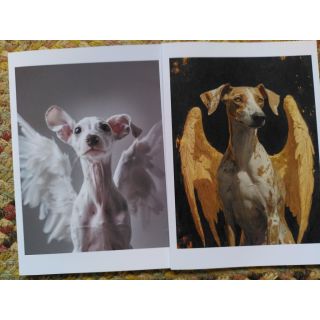 Two rainbow bridge cards